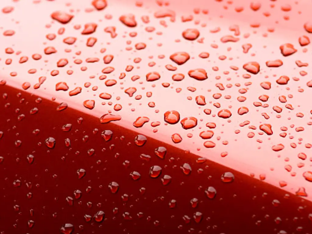 new car paint protection