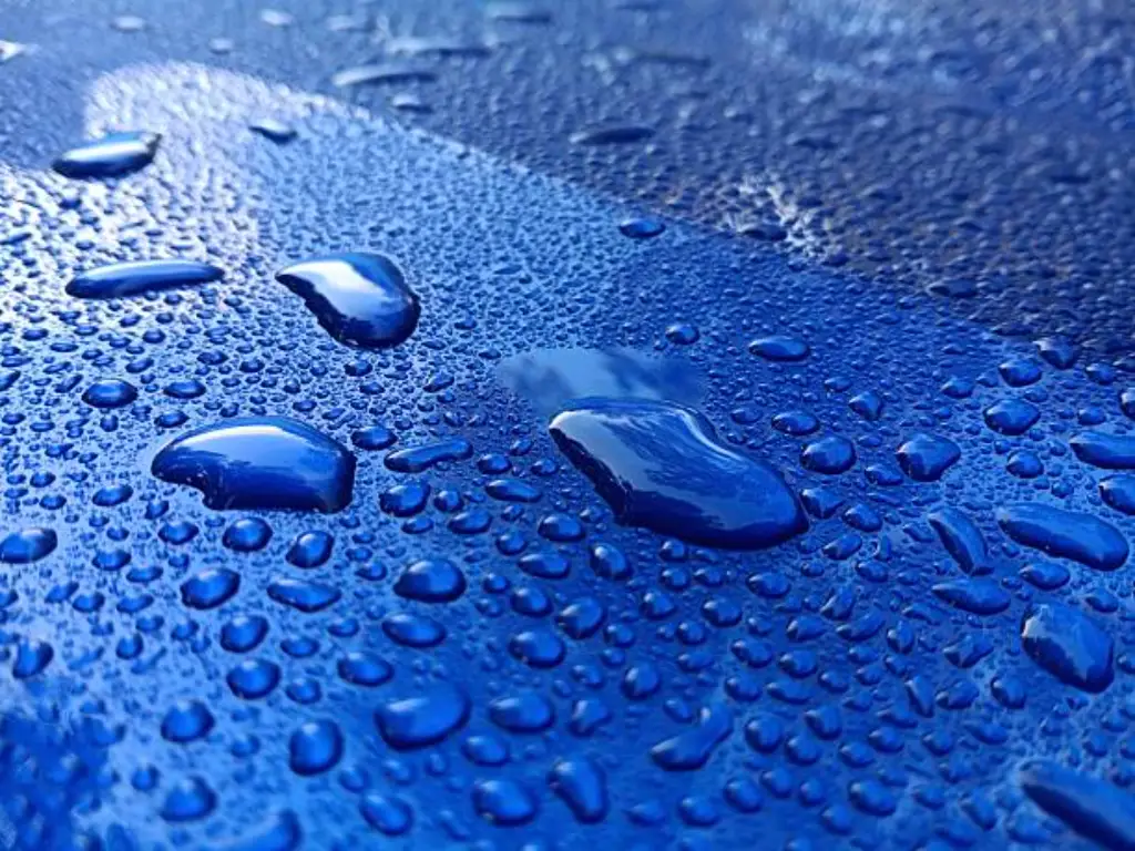 xpel stealth ppf cost